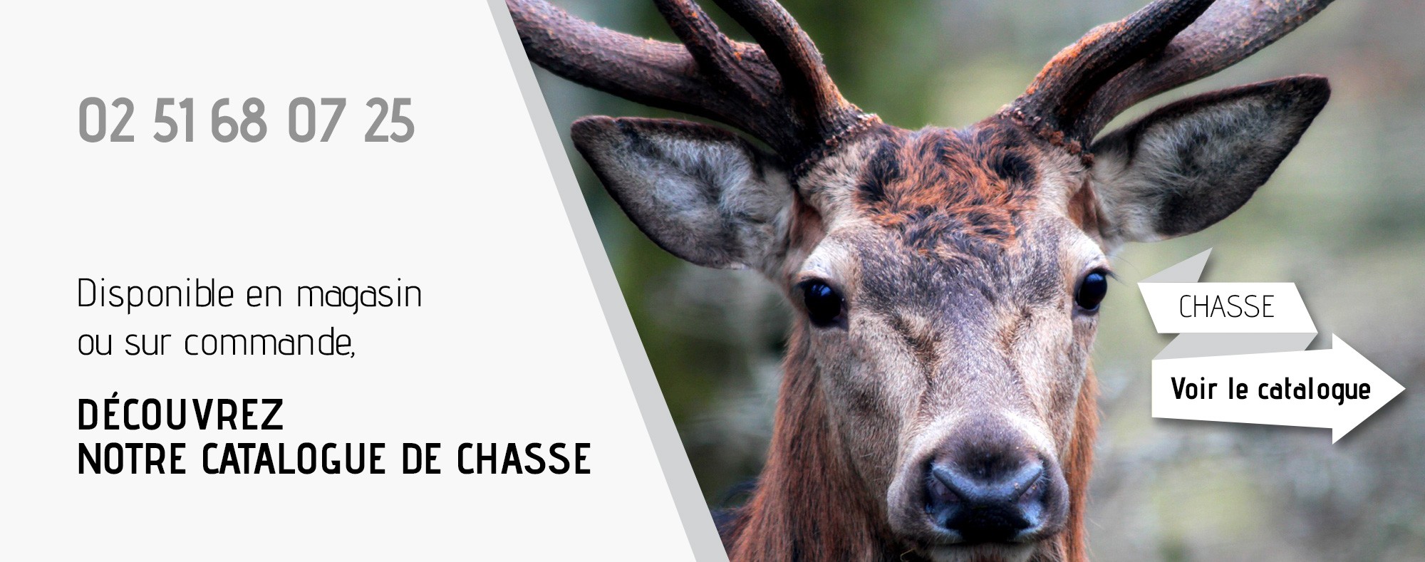 Disponible en magasin ou sur commande, tout le catalogue de chasse